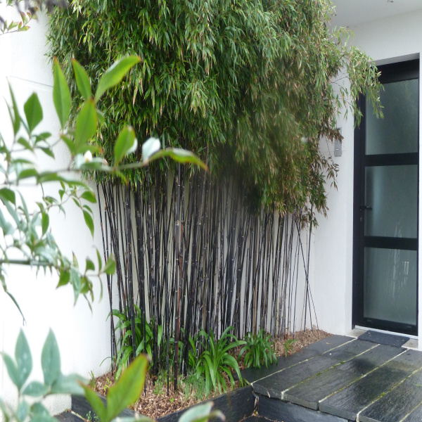 Offres de vente Maison Larmor-Plage 56260